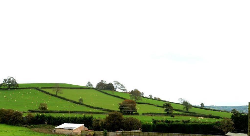 The Cannards Well Shepton Mallet Extérieur photo